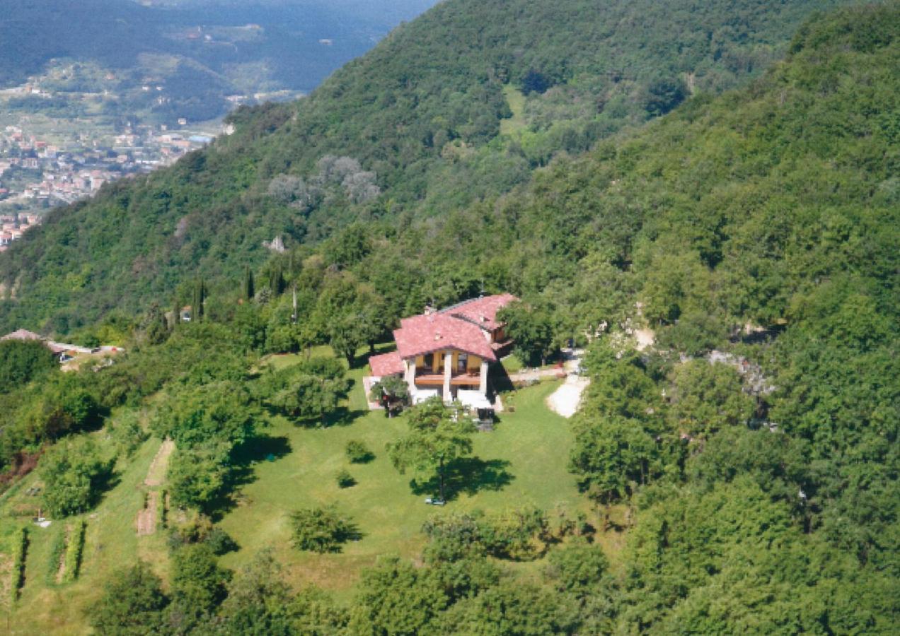 La Fiocchina - Magic Place - Apartments & Studios In Garda Lake - Countryside Farmhouse, Inside The Middle Of The Lake 萨罗 外观 照片