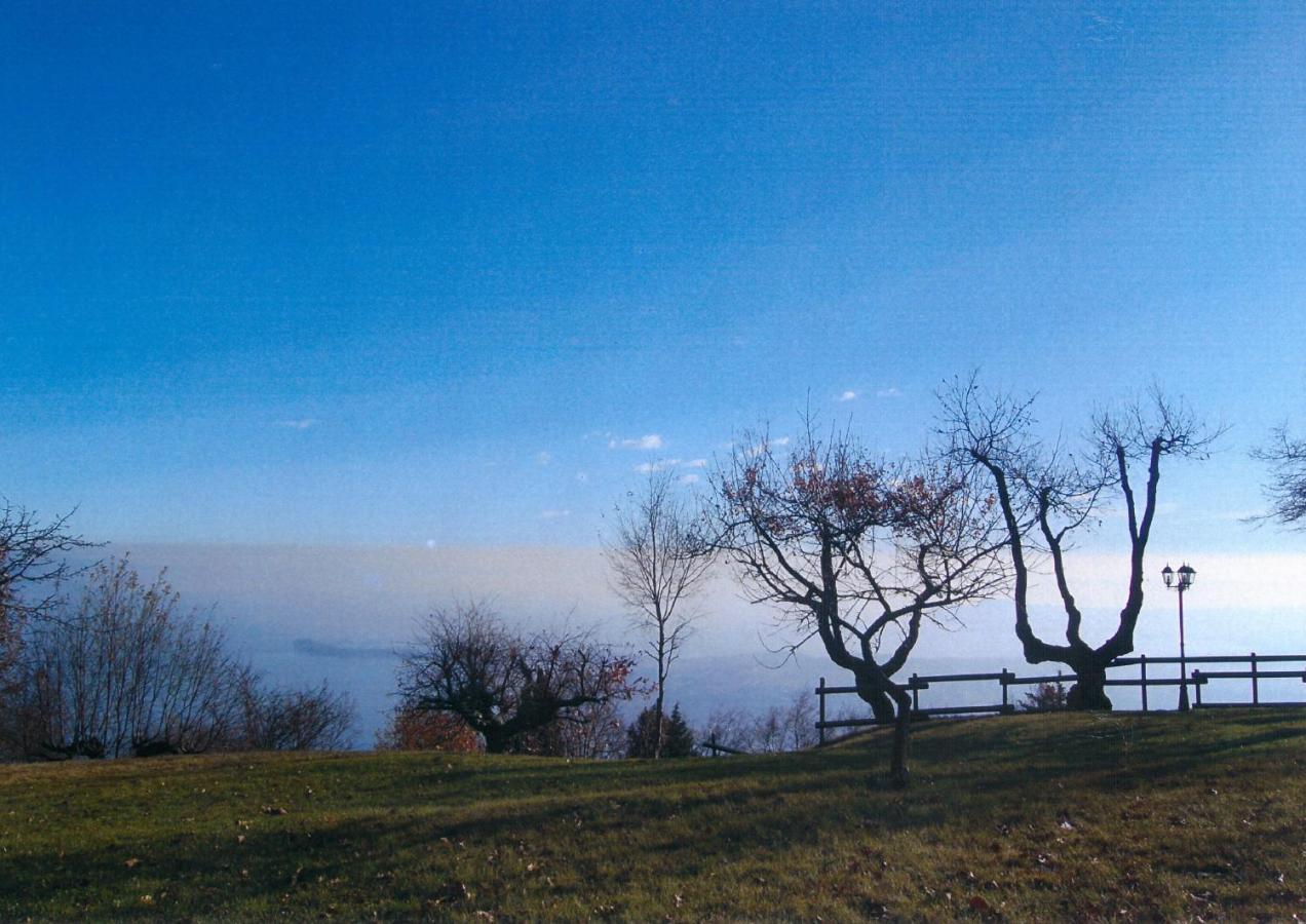 La Fiocchina - Magic Place - Apartments & Studios In Garda Lake - Countryside Farmhouse, Inside The Middle Of The Lake 萨罗 外观 照片
