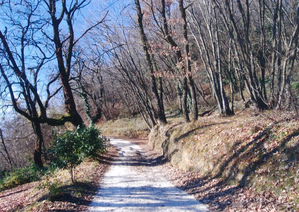 La Fiocchina - Magic Place - Apartments & Studios In Garda Lake - Countryside Farmhouse, Inside The Middle Of The Lake 萨罗 外观 照片